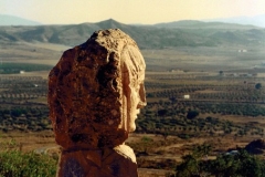 Estatua Dama Olivos Estatua Dama Olivos